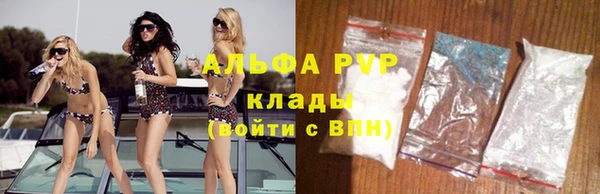 стаф Тында