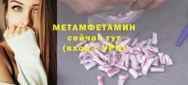 PSILOCYBIN Туринск