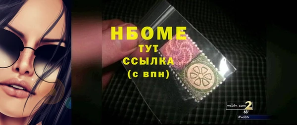 хмурый Тосно