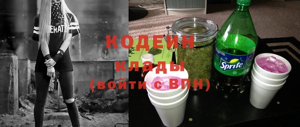 хмурый Тосно