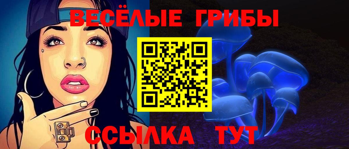 Чайковский  Галлюциногенные грибы ЛСД  Вход с VPN 