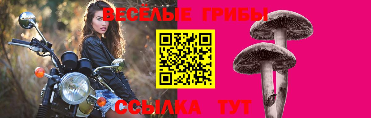 Галлюциногенные грибы ЛСД  Чайковский 