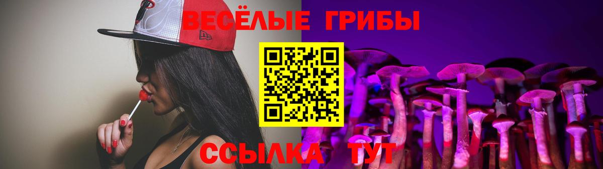 Псилоцибиновые грибы мухоморы Чайковский